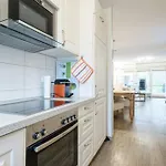 Apartment 2 Seasons, High Five